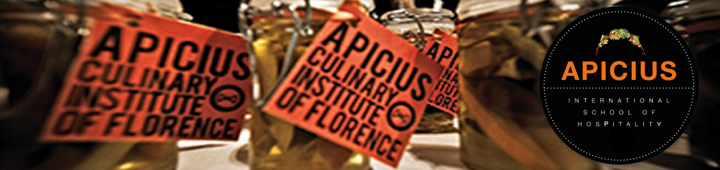 Header for APICIUS School Detail Page